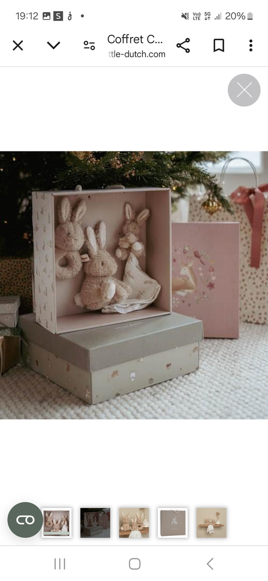 Coffret naissance lapin