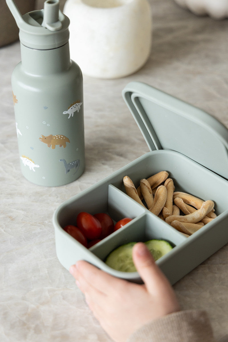 Gourde 350ml en acier inoxydable Dino